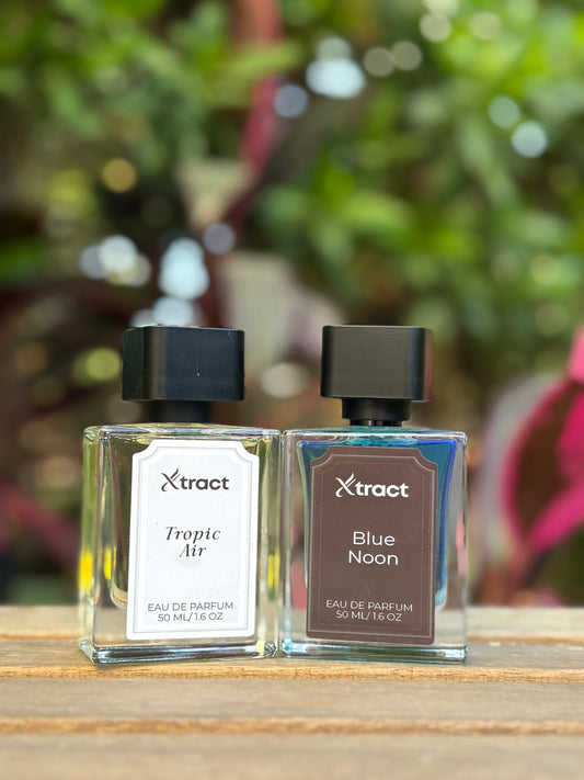 Back to campus bundle