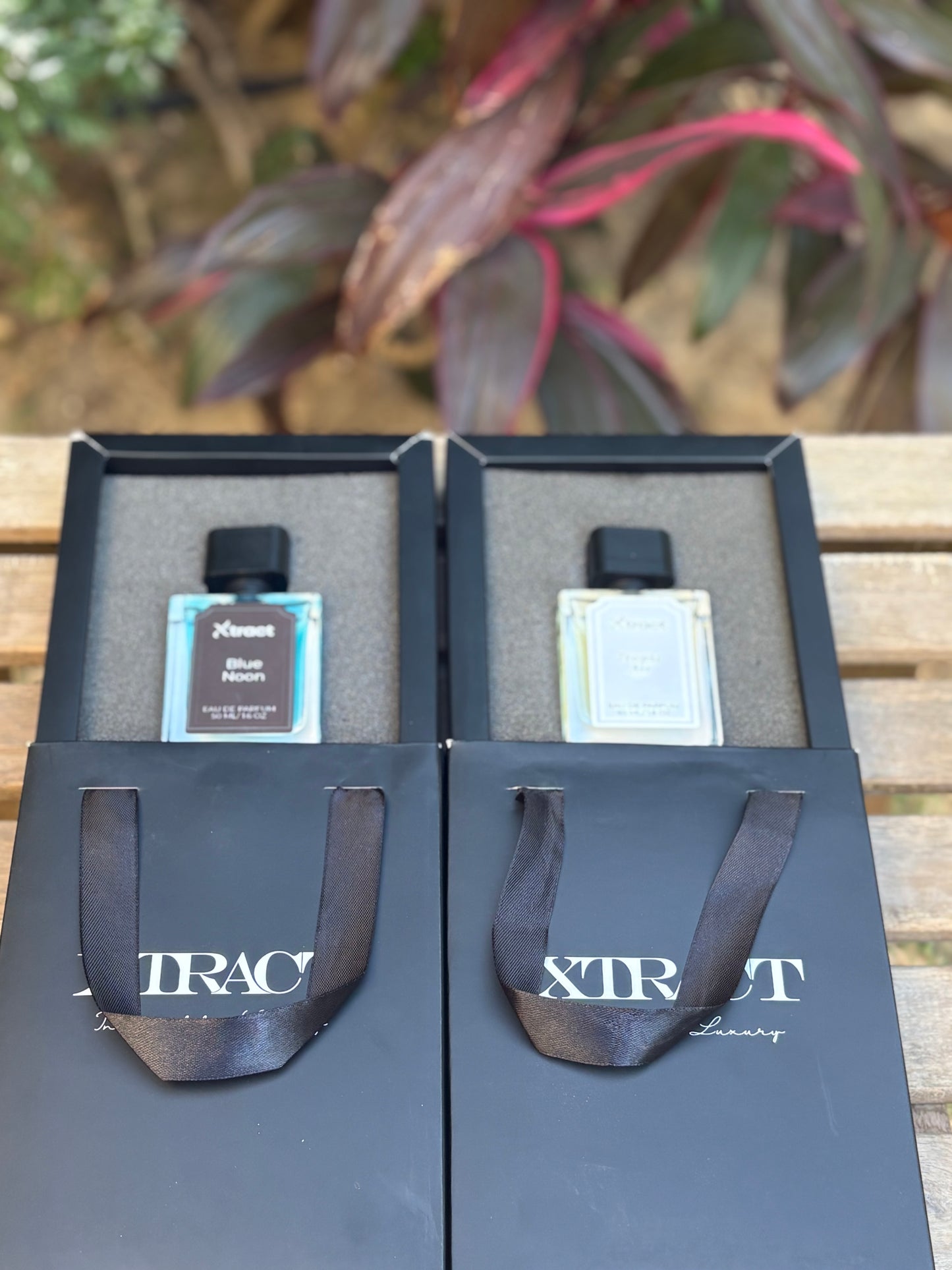 Back to campus bundle